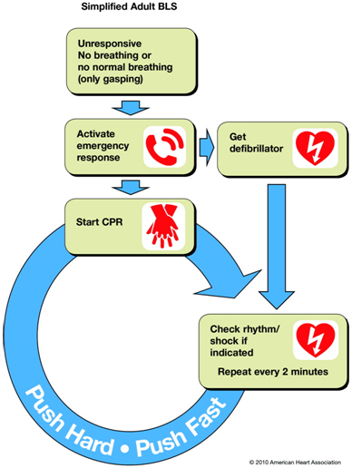Guidelines of Adult Basic Life Support - San Antonio, TX